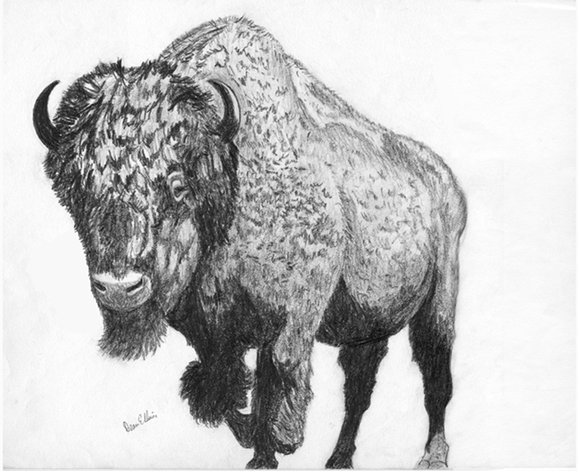 Buffalo